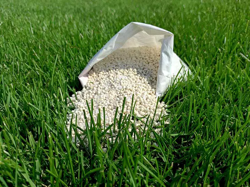 a bag of granulated fertilizer spilling onto lawn