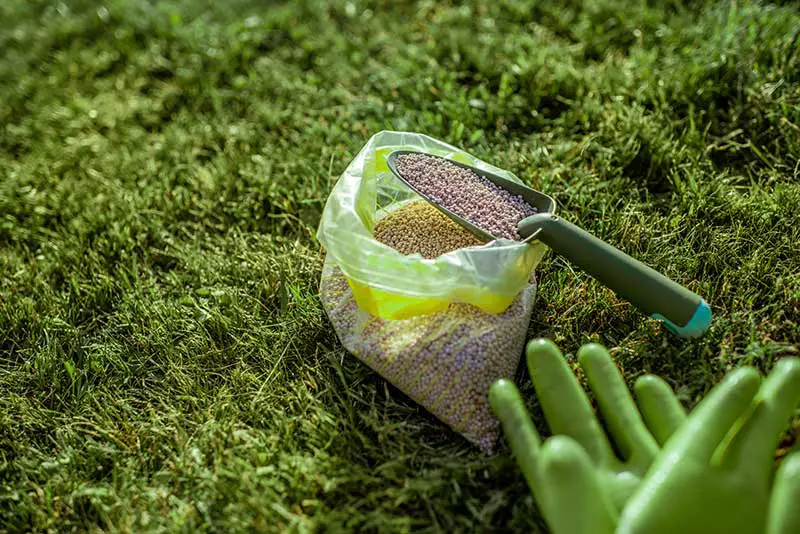 a bag of grass fertilizer being shovelled 