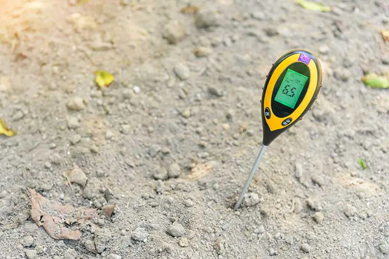 a pH meter sticking out of some soil