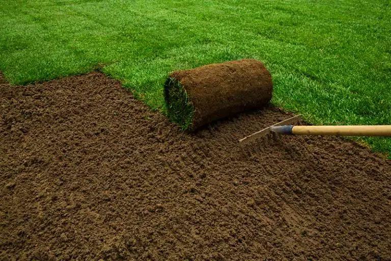How to Lay Sod: Step by Step