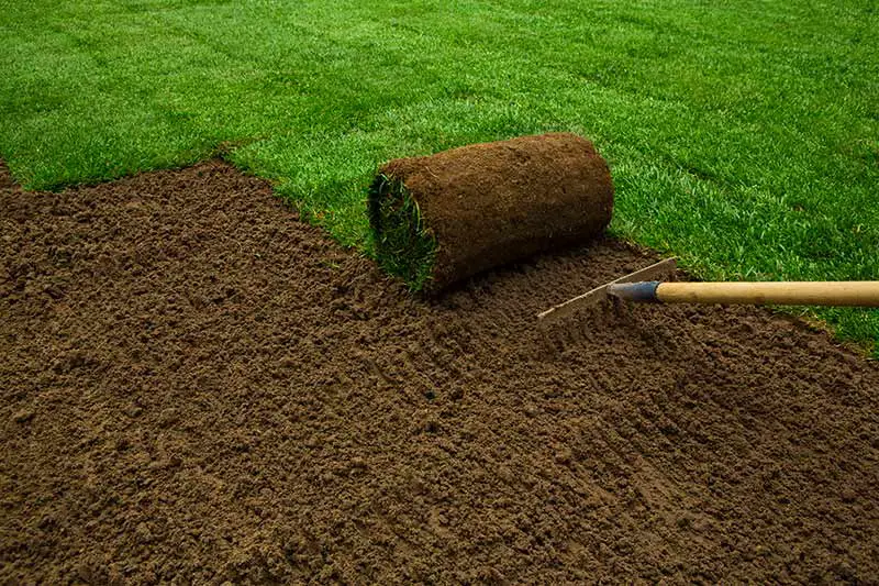 a roll of sod sitting on the lawn. A rake behind it makes sure that the soil is prepared