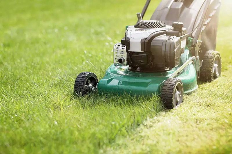 a lawnmower being walked along the lawn