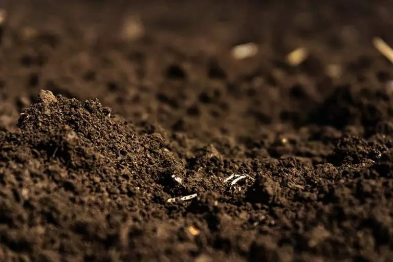 How to Add Nitrogen to Soil