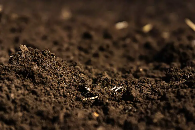 a closeup of fresh soil