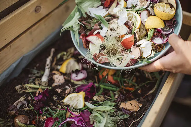 hands pouring food scraps onto compost pile