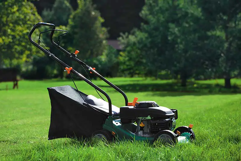 lawnmower on lawn