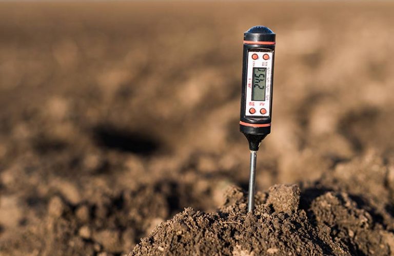How to Test Soil pH