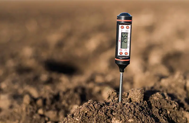 soil ph meter in soil