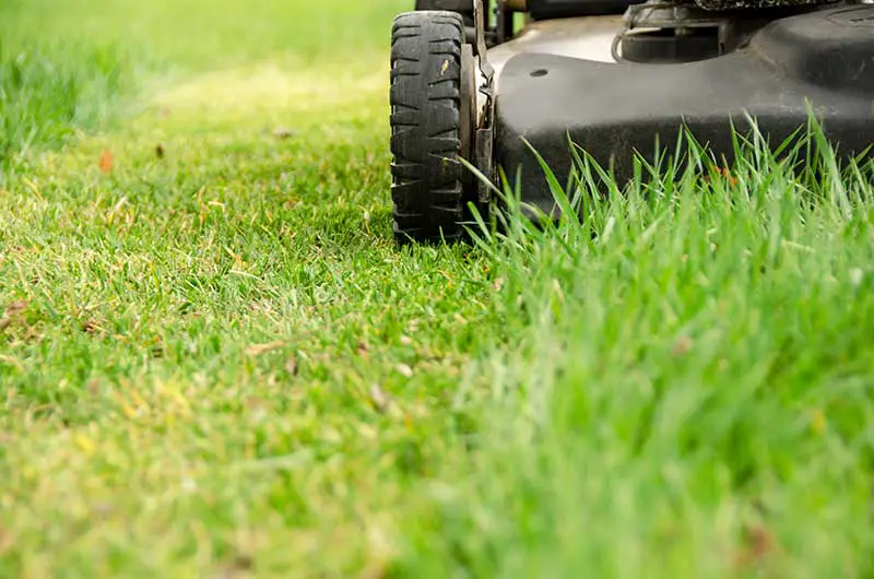 lawnmower cutting grass