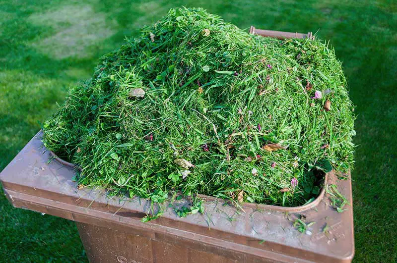 a pile of grass clippings in a bin