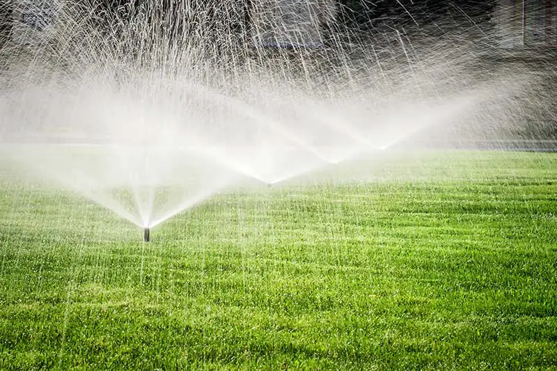 sprinklers spraying large jets of water on lawn