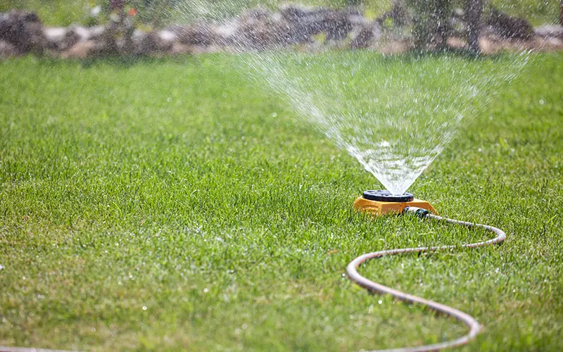 an impact sprinkler spraying a stream of water