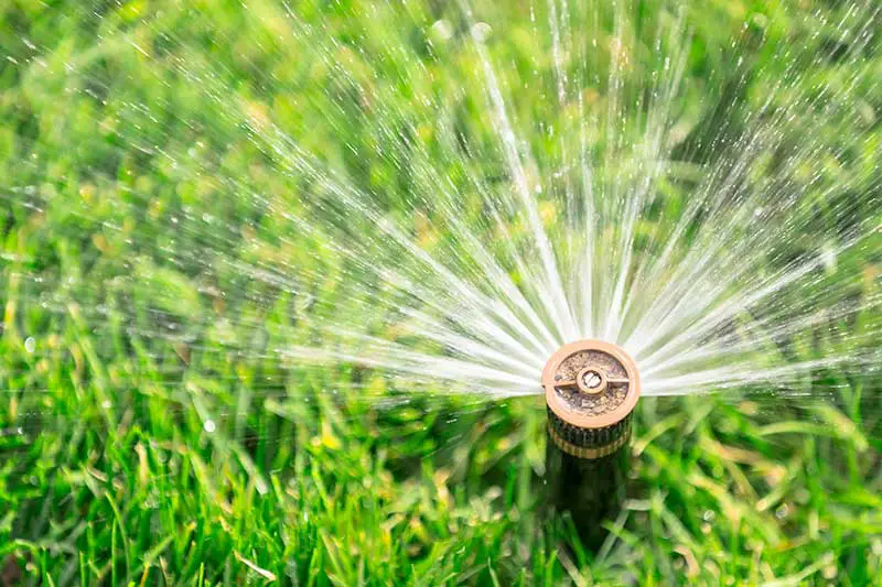 an inground sprinkler spraying a stream of water