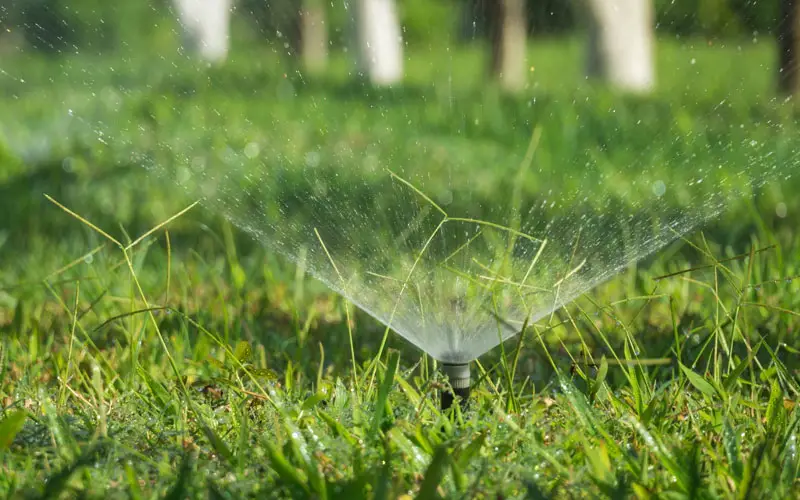 lawn sprinkler spraying lawn