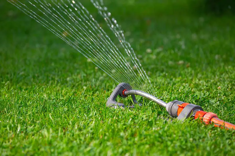 oscillating sprinkler spraying multiple jets of water