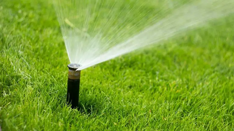 Best Sprinklers for Small Lawns