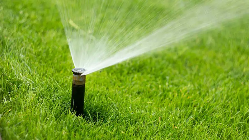 a stationary sprinkler spraying a stream of water