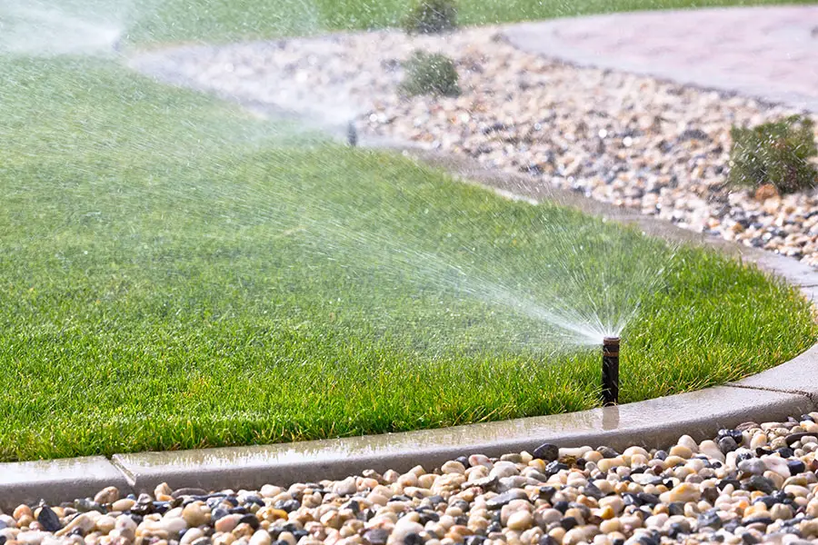 sprinklers watering a lawn