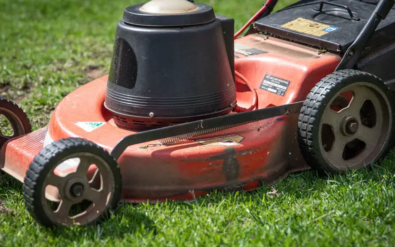 A gas powered lawn mower on freshly cut grass