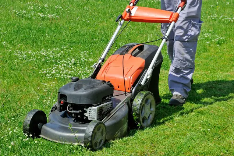 Why Does my Lawn Mower Backfire?