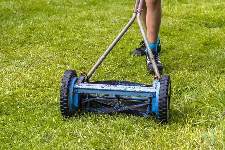 a push mower being walked along the grass