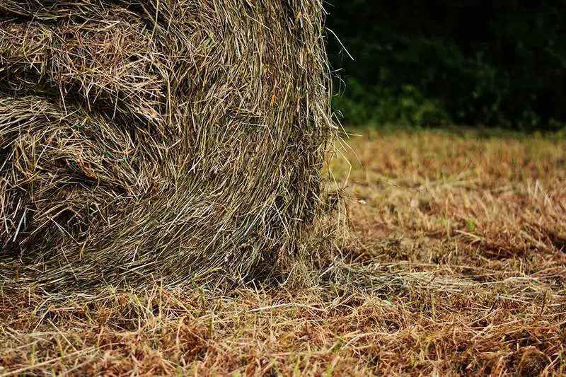 a bale of straw on grass