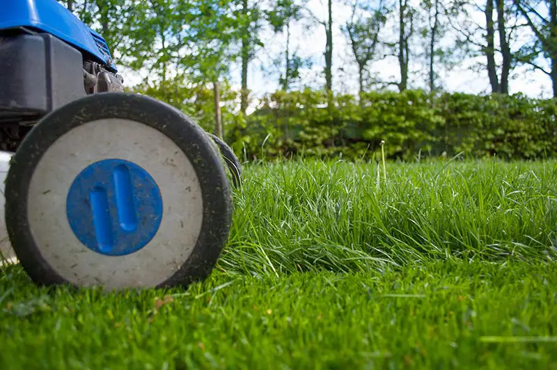 a lawn mower mowing half cut grass