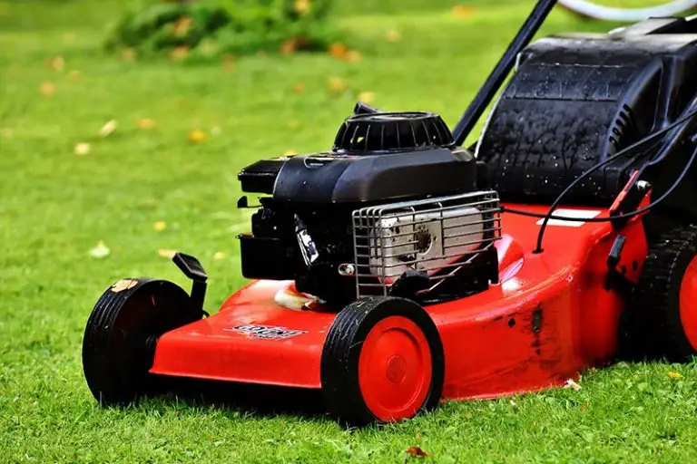 Can Lawn Mowers Get Wet?