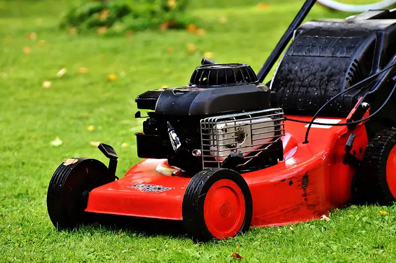 lawn mower on grass