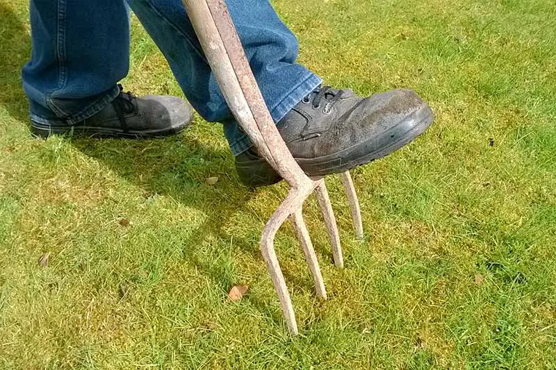 a foot pushing a pitchfork into a lawn