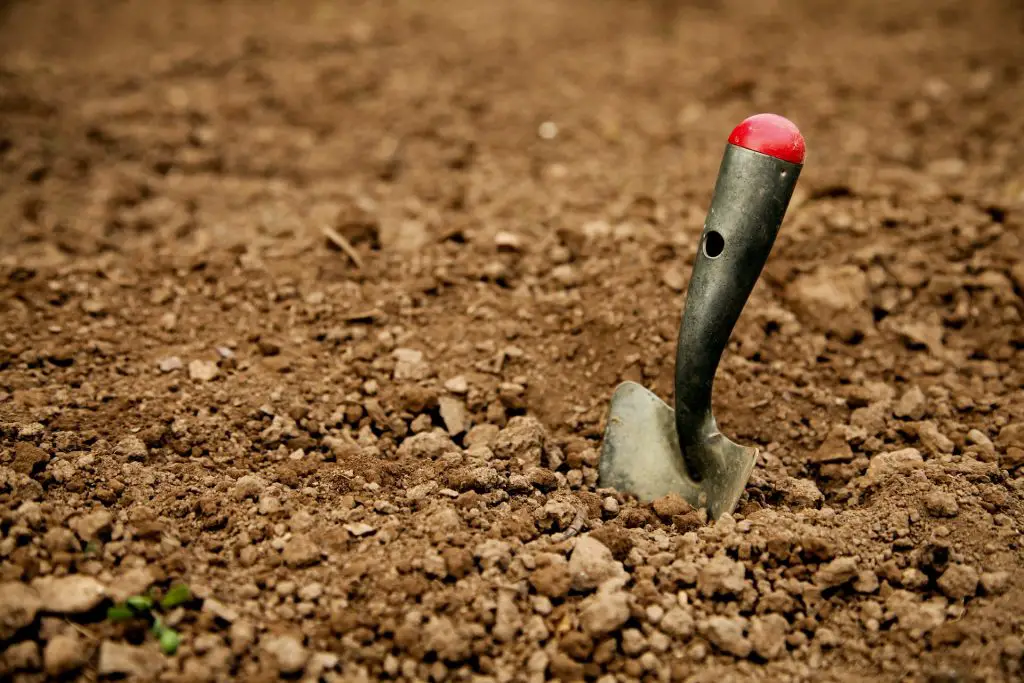 a trowel sticking out of dirt