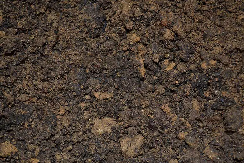 dark brown compost