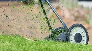 Best Lawn Mowers for Women