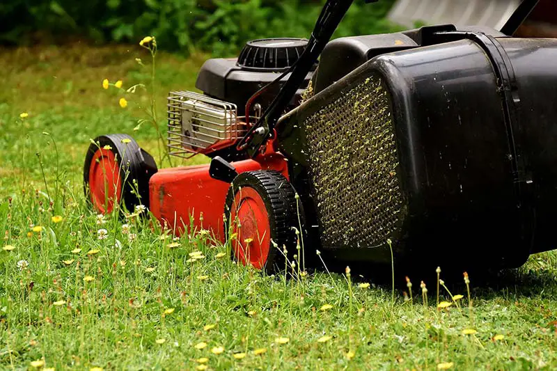 lawn mower on overgrown lawn