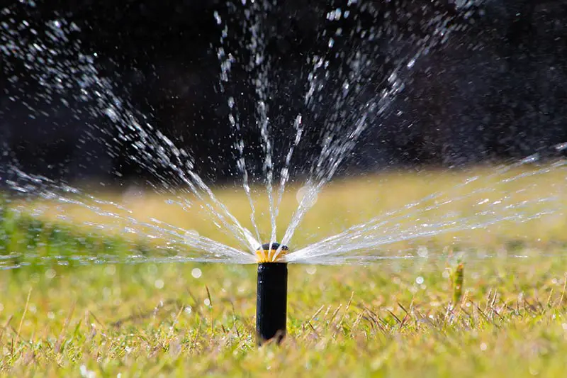 a sprinkler head watering a lawn