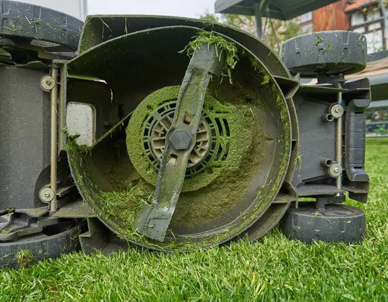 Which Side of The Lawn Mower Blade Is Up?