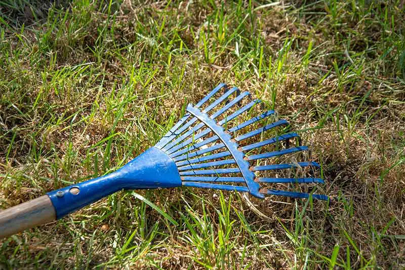 a rake raking a lawn