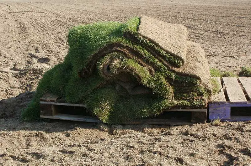 a pallet of sod