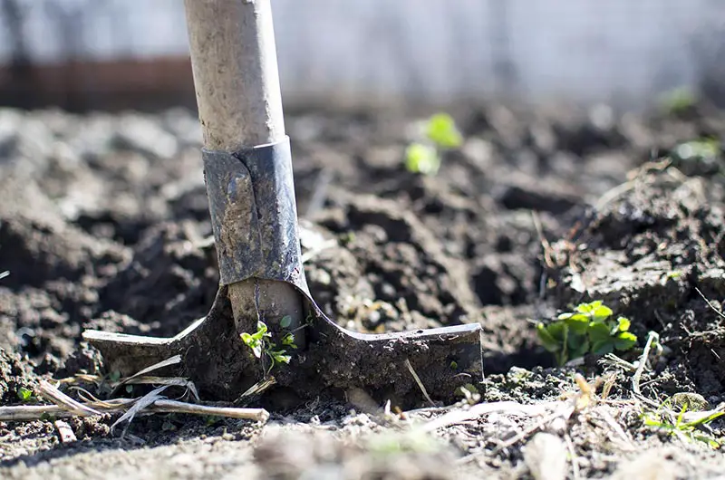 a spade sticking out of soil