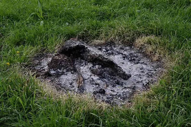 Using Wood Ash to Fertilize Your Lawn