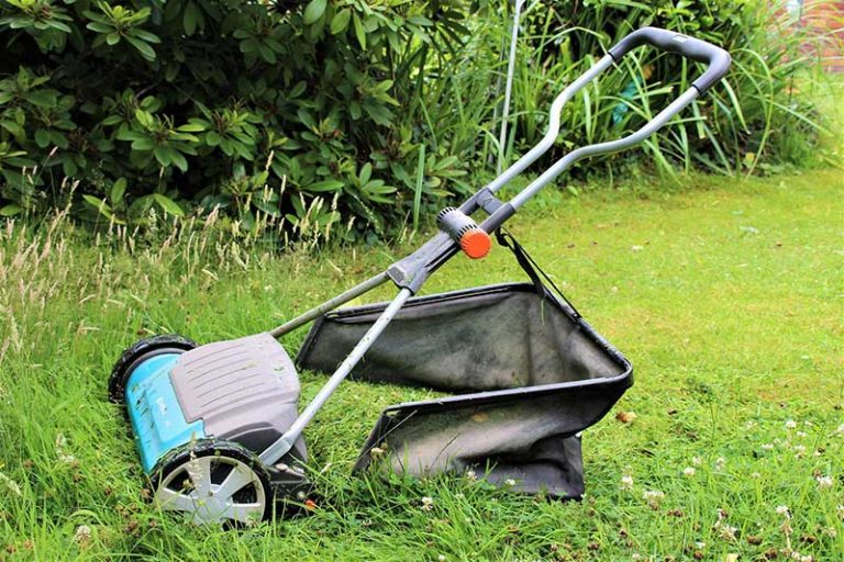 When to Mulch or Bag Grass Clippings After Mowing