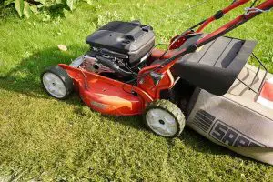 Mowing After Overseeding: The Best Time to Cut Your Lawn