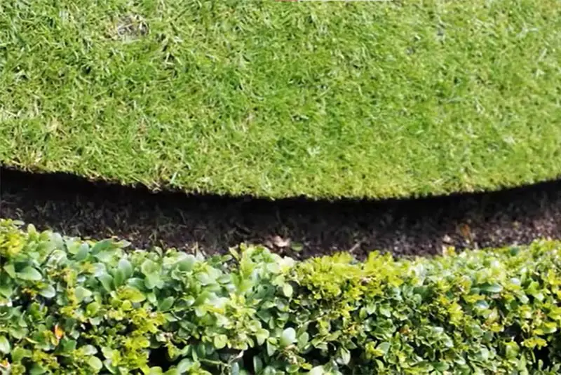 an edged lawn