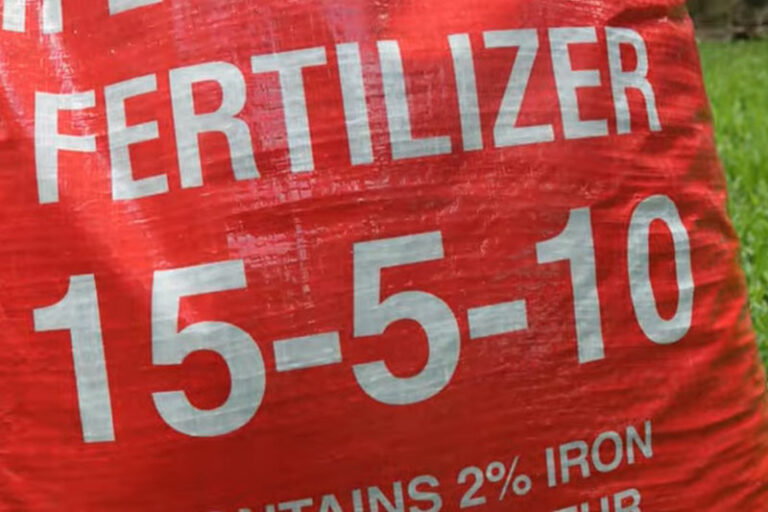 NPK Meaning: What Do Fertilizer Numbers Mean?