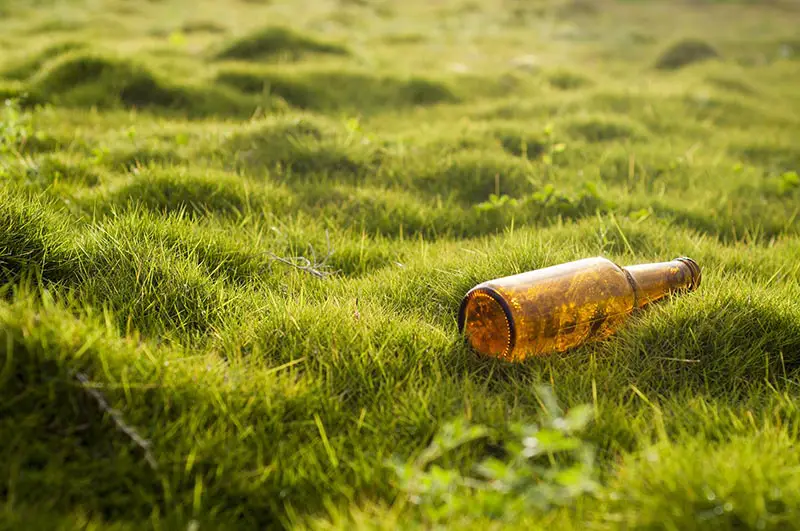 a glass bottle lying on a lawn