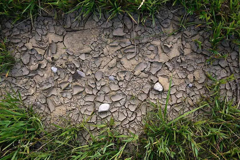 grass growing around a patch of bare, cracked and dry soil