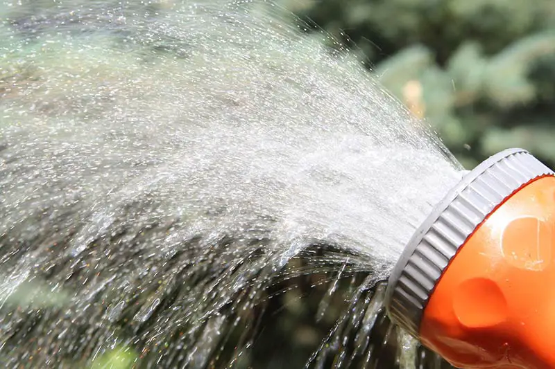 a jet of water spraying from a hose