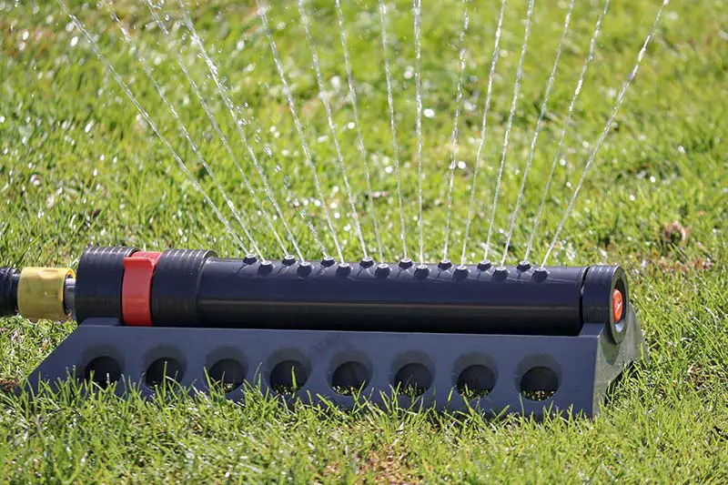 a sprinkler spraying on a lawn